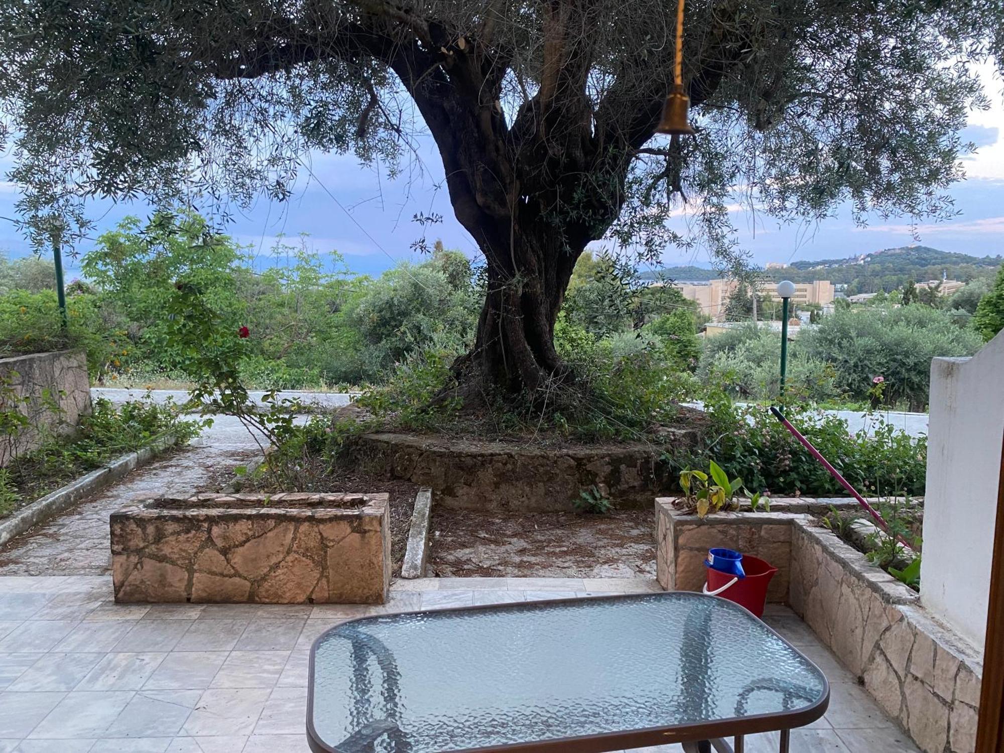 Helen's And Dassia (Corfu)