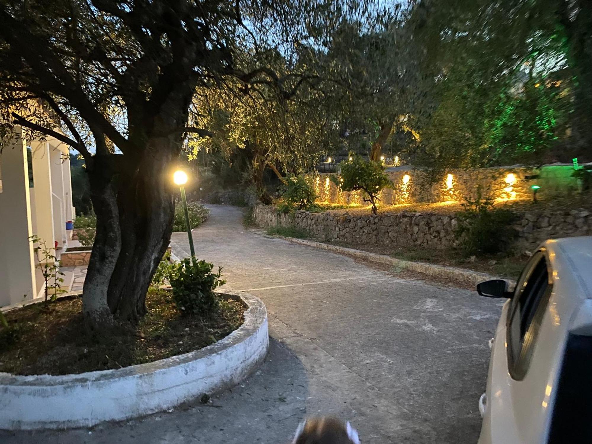 Helen's And Apartment Dassia (Corfu)