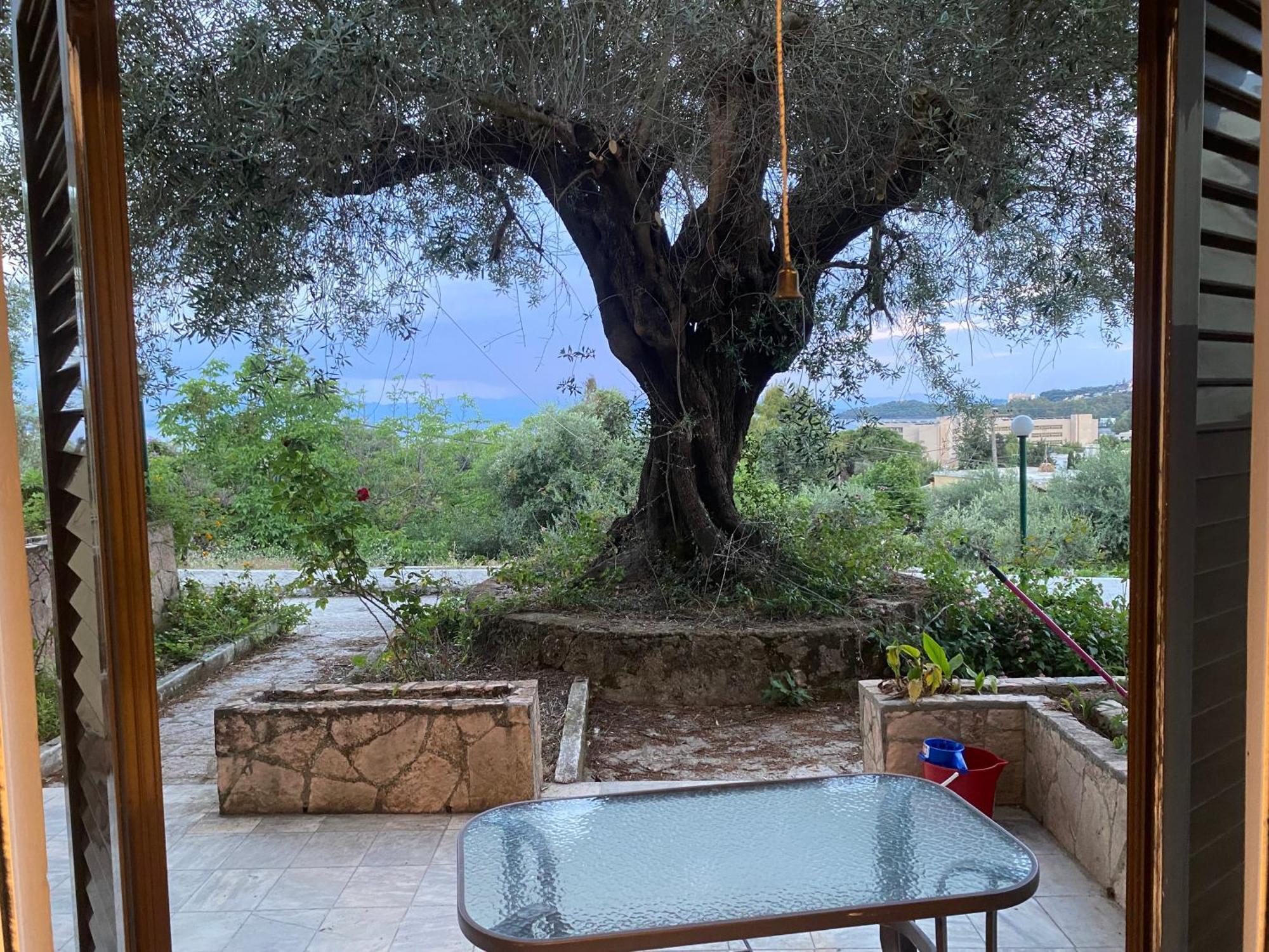 Apartment Helen's And Dassia (Corfu)