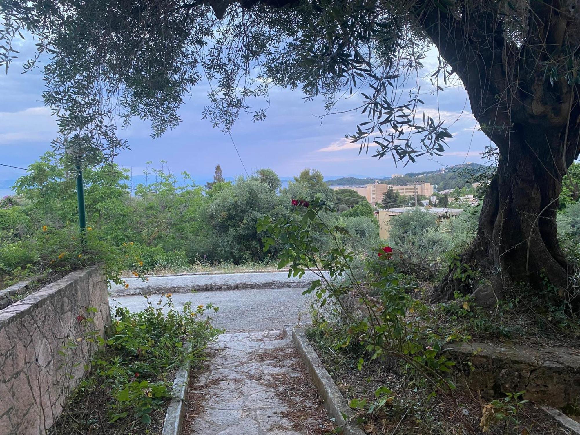 Helen's And Apartment Dassia (Corfu)