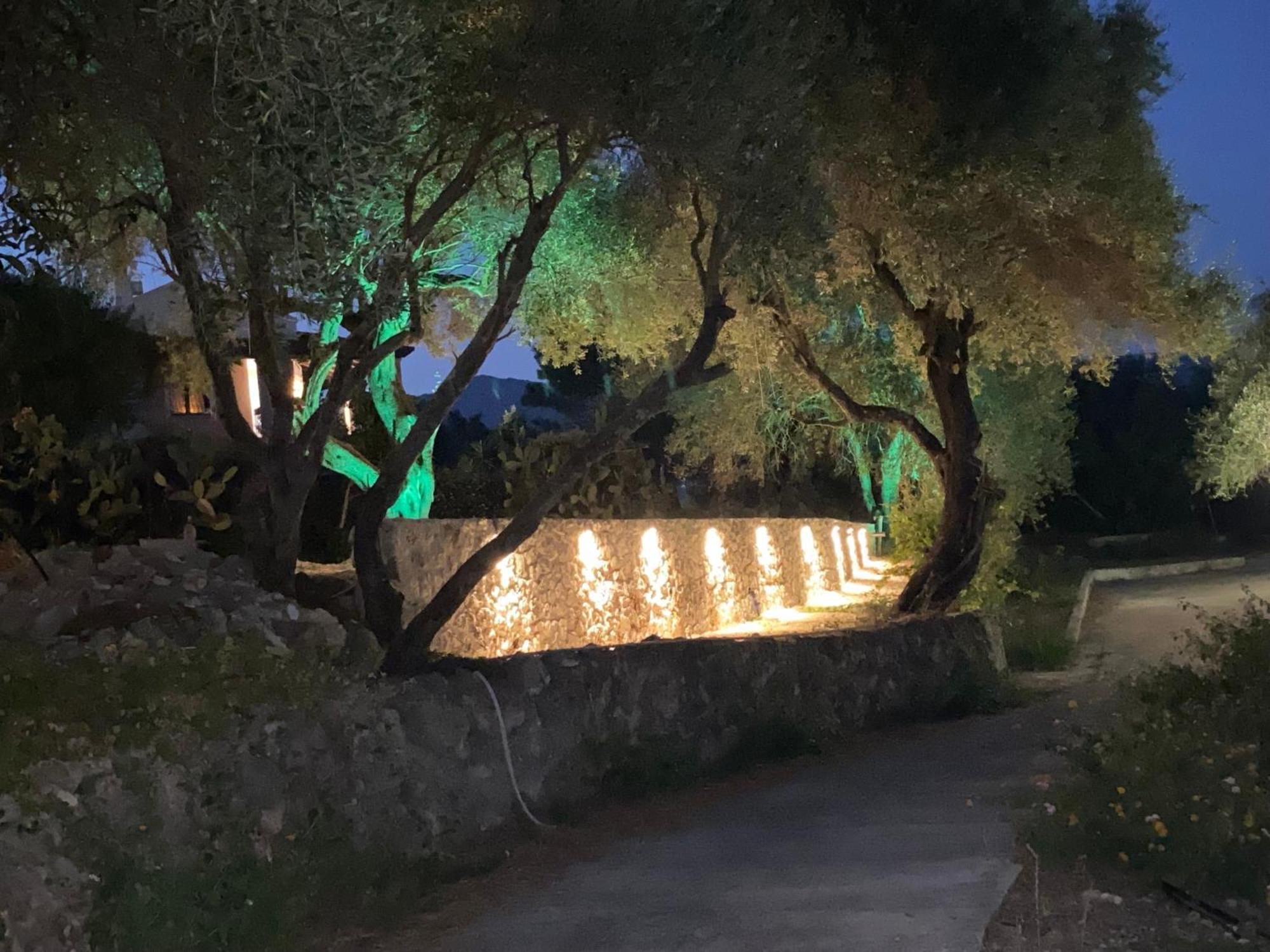 דירה Helen's And דאסיה